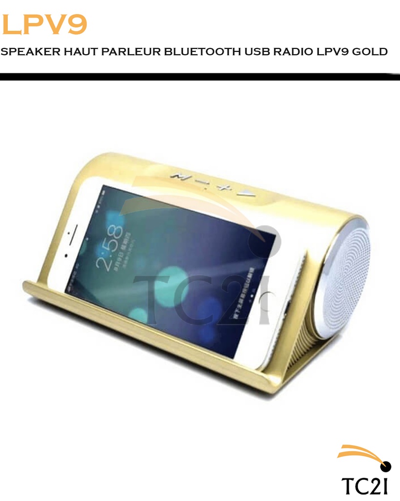 SPEAKER HAUT PARLEUR BLUETOOTH USB RADIO LPV9 GOLD