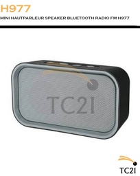 MINI HAUTPARLEUR SPEAKER BLUETOOTH RADIO FM H977