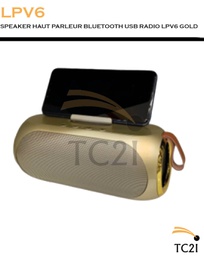 SPEAKER HAUT PARLEUR BLUETOOTH USB RADIO LPV6 GOLD